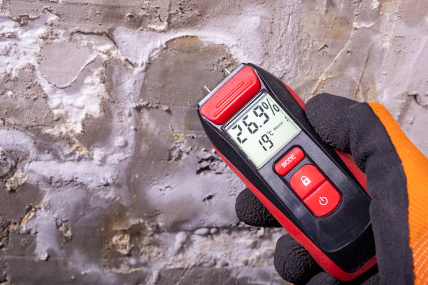 Best DIY Mold Remediation Support Services in Memphis, MI